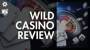 Full Evaluation of Wild Online Casino